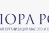 «Молодежное технологическое и социальное предпринимательство в достижении Целей устойчивого развития»