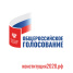 Наблюдение за проведением общероссийского голосования по внесению поправок в Конституцию